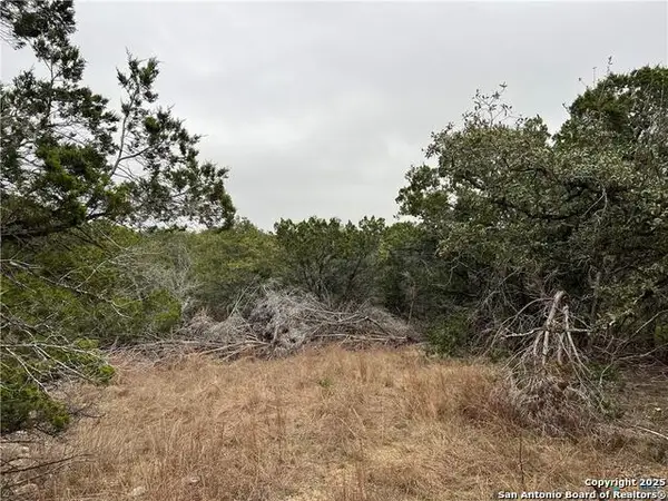 713 Stagecoach Trl, Spring Branch, TX 78070