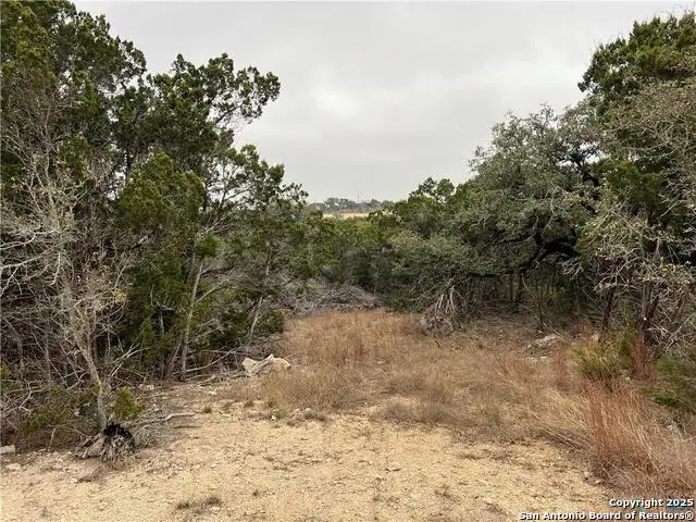713 Stagecoach Trl, Spring Branch, TX 78070 - #2