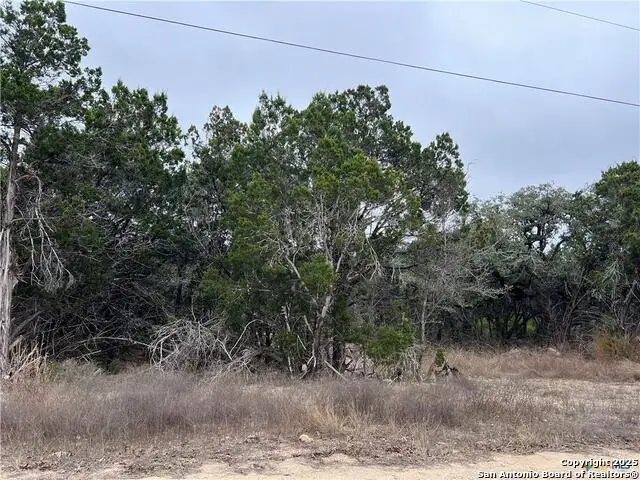 713 Stagecoach Trl, Spring Branch, TX 78070 - #3