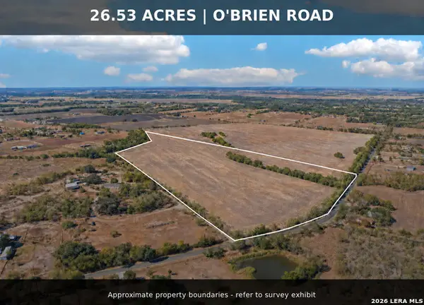 11735 Obrien Rd, Atascosa, TX 78002