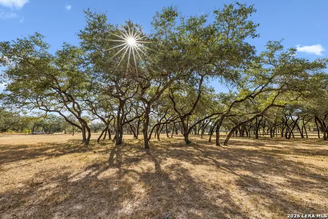 21822 Toudouze Rd, San Antonio, TX 78264 - #2