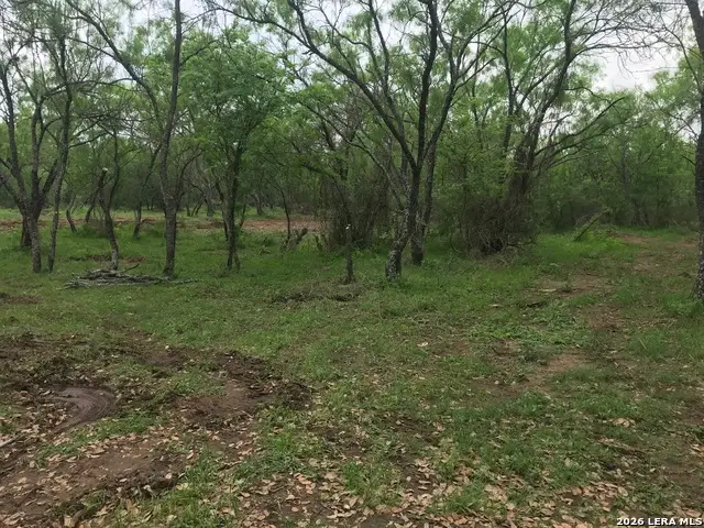 946 County Road 2863, Bigfoot, TX 78006 - #2