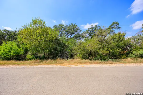 15416 Rhodius Ln, Selma, TX 78154