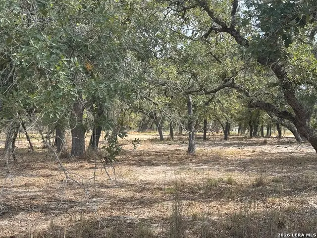 190 Deer Park Rd., La Vernia, TX 78121 - #2
