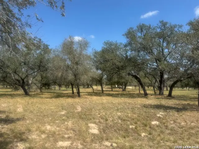 1600 County Road 770, Natalia, TX 78059 - #1
