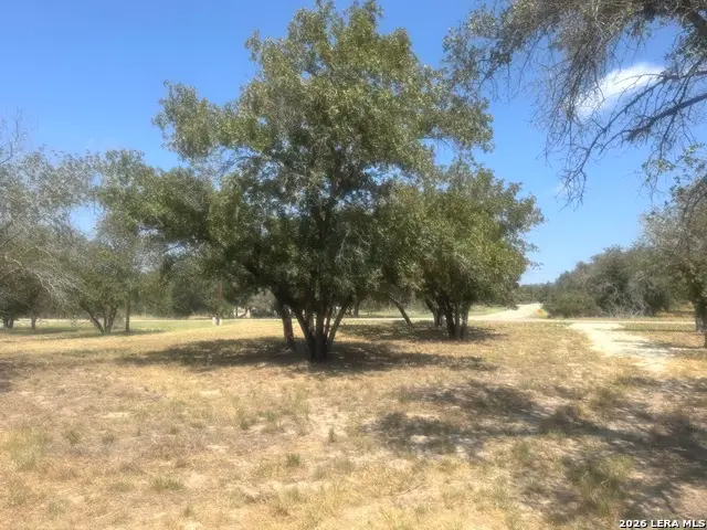 1600 County Road 770, Natalia, TX 78059 - #3
