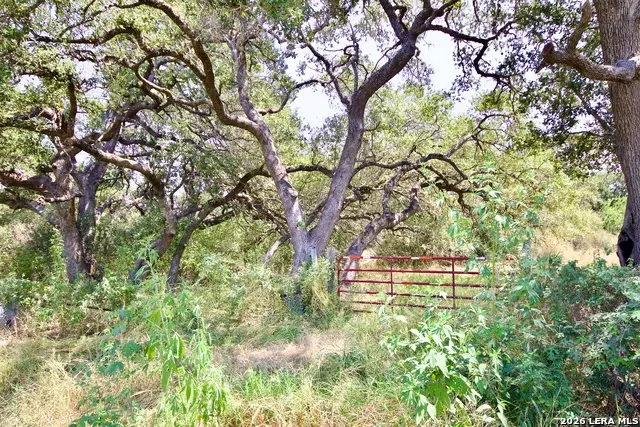 LOT 3 Bruce Road, Poteet, TX 78065 - #2