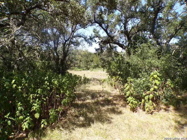 31401 Smithson Valley, Bulverde, TX 78163 - #2