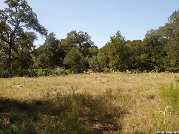 31369 Smithson Valley, Bulverde, TX 78163