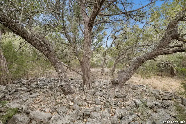 TBD Lazy Forest, New Braunfels, TX 78132 - #2