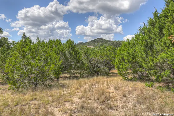 462 Toye Blvd, Canyon Lake, TX 78133