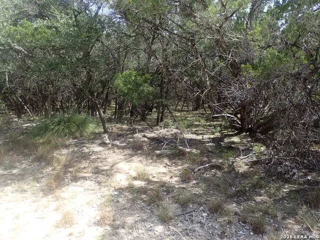 17 Mississippi, Lakehills, TX 78063 - #2