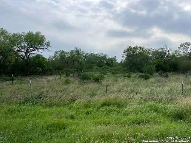 16367 Fm 472, Bigfoot, TX 78005 - #3
