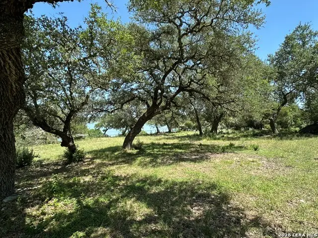 247 Oak Hideaway Dr, Canyon Lake, TX 78133 - #2