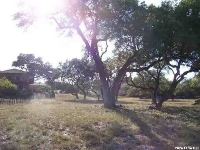247 Oak Hideaway Dr, Canyon Lake, TX 78133 - #3