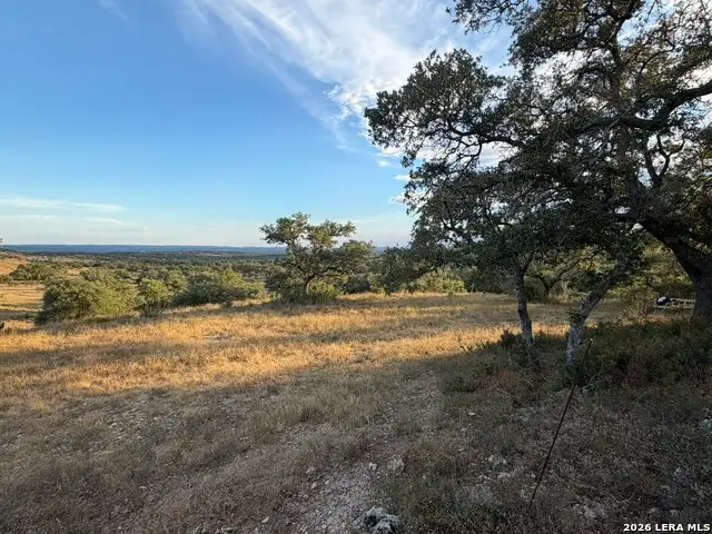 312 Summit Ledge Dr, Johnson City, TX 78636 - #3