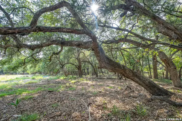 9918 Kopplin Rd, New Braunfels, TX 78132