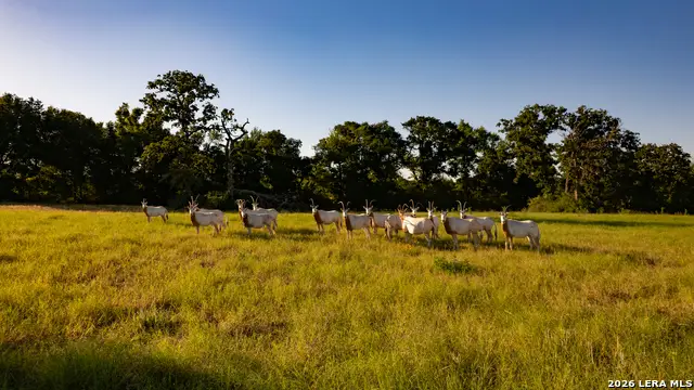 3803 Private Road 4173, Marquez, TX 77865 - #3