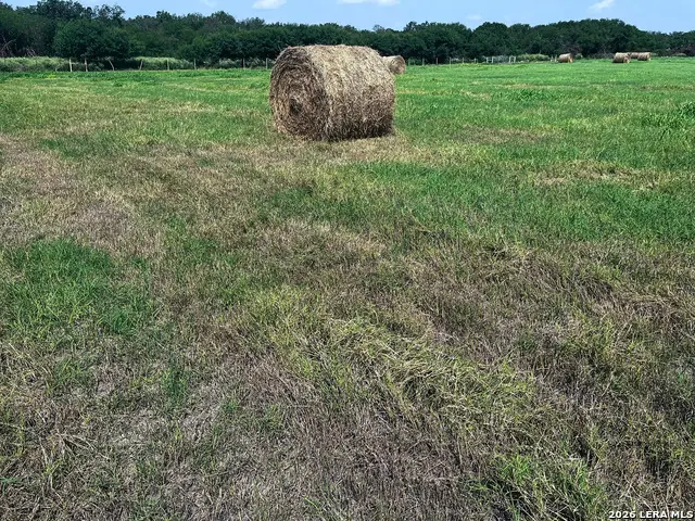 1325 County Road 210, Poth, TX 78147 - #3