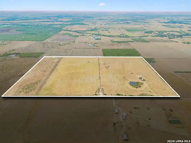 353 County Road 228, Falls City, TX 78113 - #2