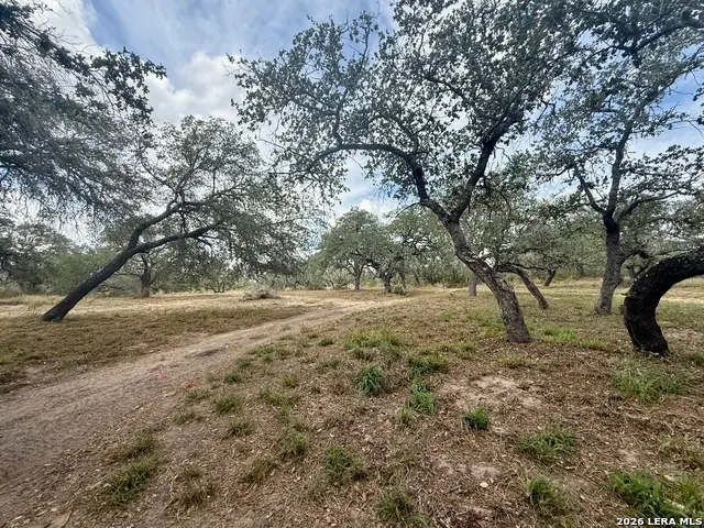160 Private Road D65, Poteet, TX 78065 - #3