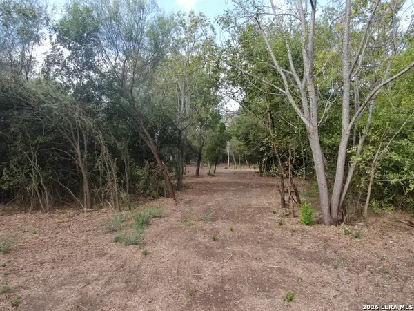 00 Fm 463, Devine, TX 78069