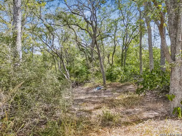 4476 Us Hwy 87 W, Stockdale, TX 78160 - #2