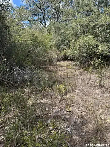 207 Charcoal Company Ln, Muldoon, TX 78949 - #2