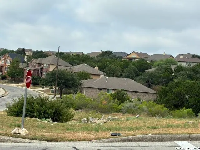23802 Alpine Rdg, San Antonio, TX 78258 - #2