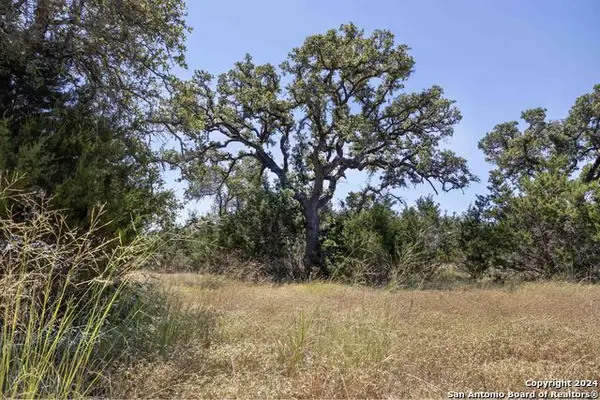 7726 Ramble Ridge, San Antonio, TX 78266