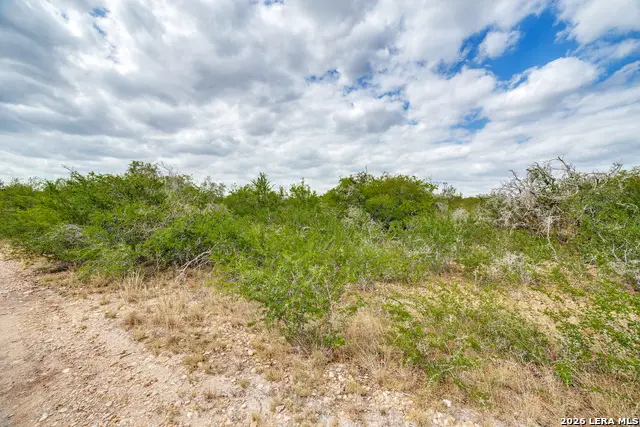 TRACT 2 County Road 652, Devine, TX 78016 - #2