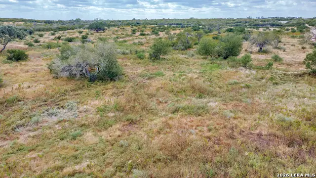 TRACT 3 County Road 652, Devine, TX 78016 - #3