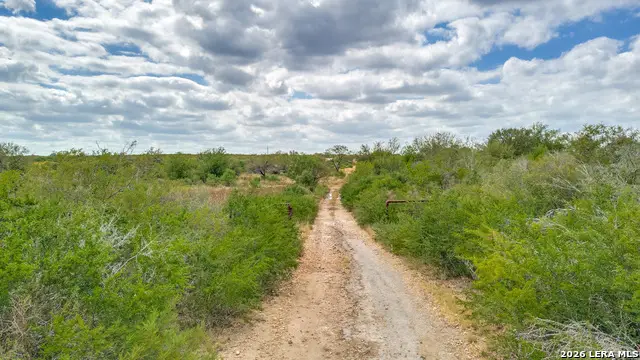 TRACT 2 & 3 County Road 652, Devine, TX 78016 - #1