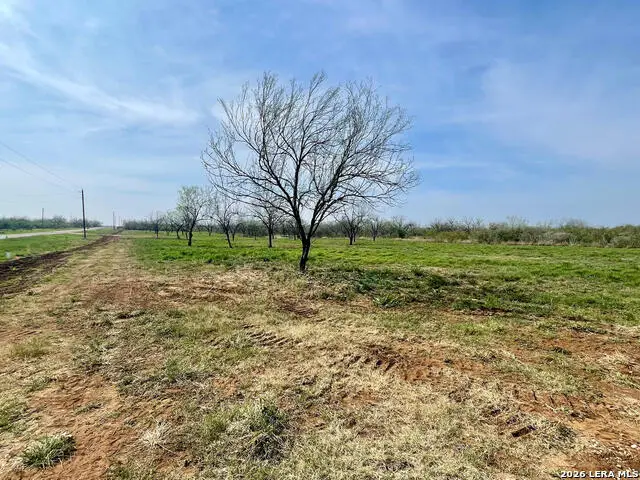 LOT 3 Fm 1332, Jourdanton, TX 78026 - #3