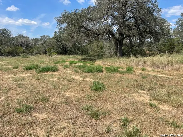 187 County Road 331, Floresville, TX 78114 - #2