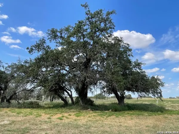 275 County Road 331, Floresville, TX 78114