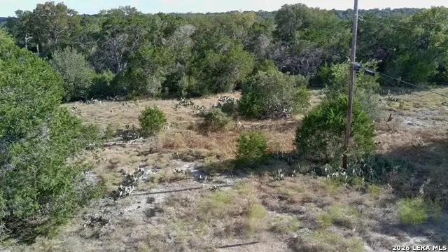 181 Blue Bonnet Hill Cir, Spring Branch, TX 78070 - #2