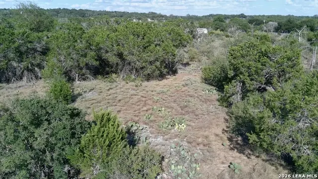 181 Blue Bonnet Hill Cir, Spring Branch, TX 78070 - #3
