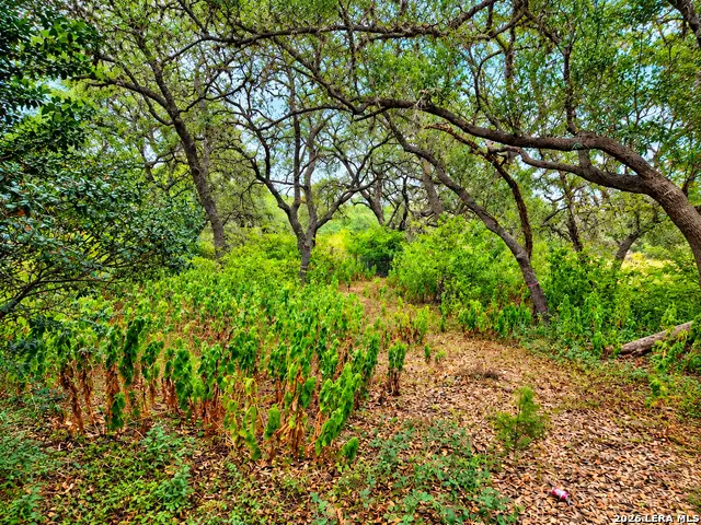 22334 Scenic Loop Rd, San Antonio, TX 78255 - #1