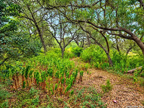 22334 Scenic Loop Rd, San Antonio, TX 78255