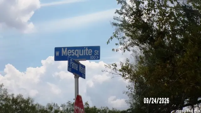 114 W Mesquite St, Karnes City, TX 78118 - #2
