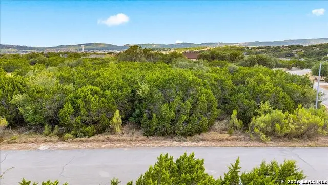 3104 Black Gold Ct, Bulverde, TX 78163 - #2