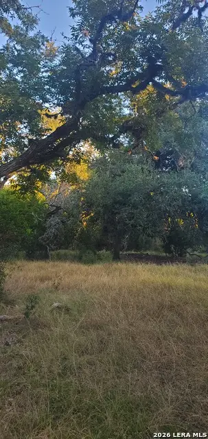 1316 Walter White Rd, Leakey, TX 78873 - #3