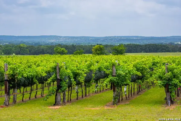 1653 Gellermann, Fredericksburg, TX 78624