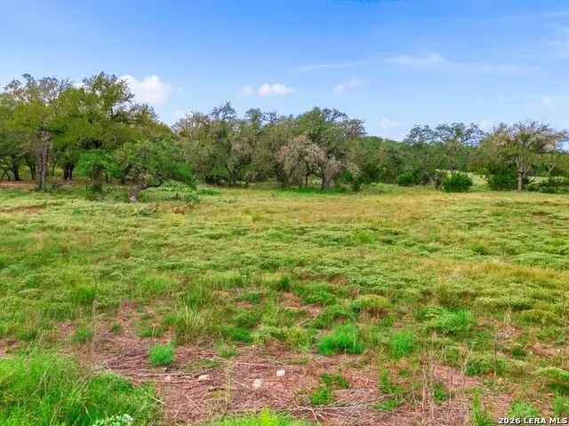 339 Axis Circle, Fredericksburg, TX 78624 - #2