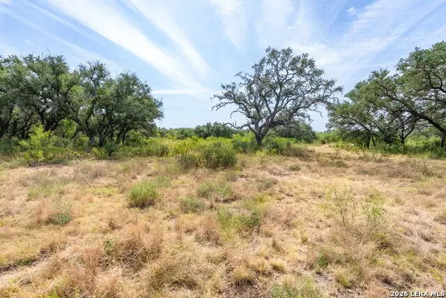 LOT 18 Utopia Forrest, Utopia, TX 78884 - #2