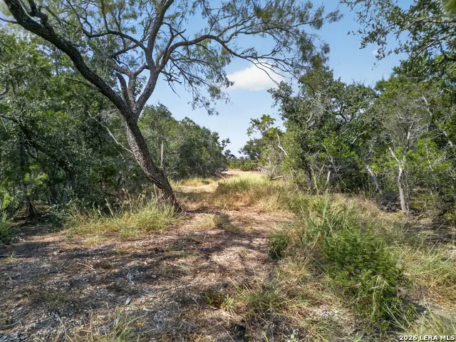 LOT 15 1796 Ranch, Dhanis, TX 78850 - #1