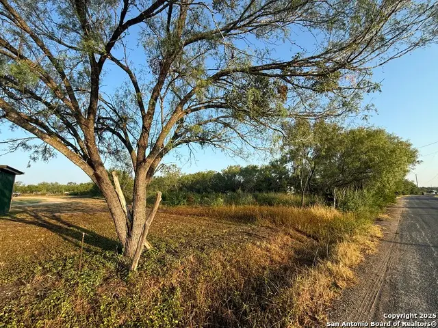 15875 Luckey Rd, Atascosa, TX 78002 - #1