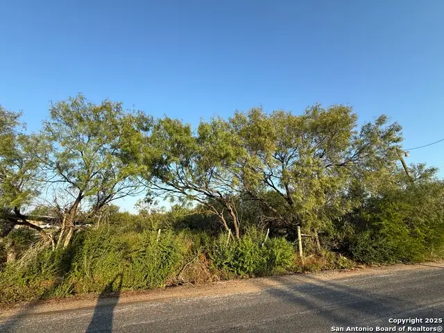 15875 Luckey Rd, Atascosa, TX 78002 - #2