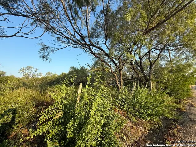 15875 Luckey Rd, Atascosa, TX 78002 - #3